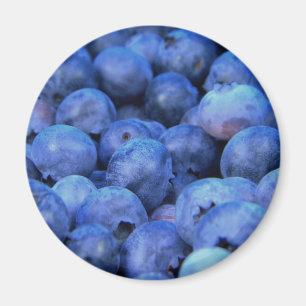 Heidelbeerpfahl Magnet