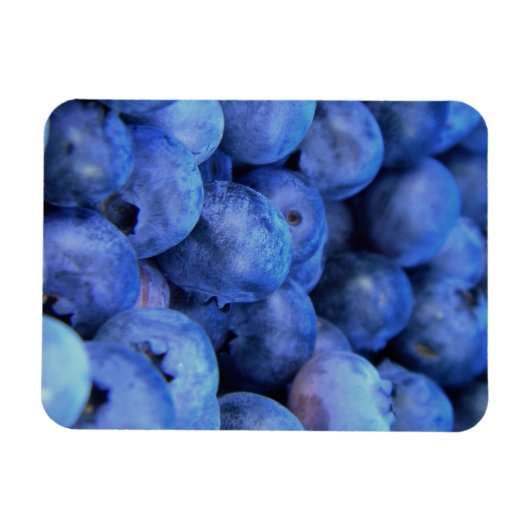 Heidelbeerpfahl Magnet (Horizontal)