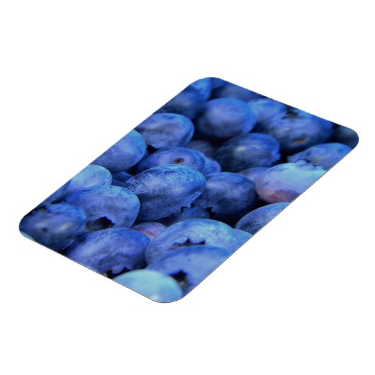 Heidelbeerpfahl Magnet (Linke Seite)