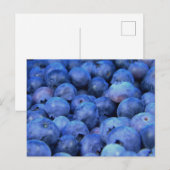 Heidelbeerpfahl Postkarte (Vorne/Hinten)