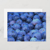 Heidelbeerpfahl Postkarte (Vorne/Hinten)