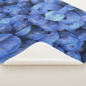 Heidelbeerpfahl Sherpadecke (3/4)