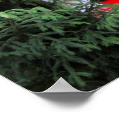 Heidelberger Weihnachtsmarkt, Weihnachtsstall Poster (Ecke)