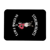 Heidenrauschen von Furzen Boston Terrier Magnet (Horizontal)