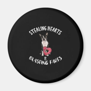 Heidenrauschen von Furzen Boston Terrier Magnet