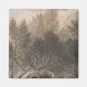 Heidewald, Madeira Magnet