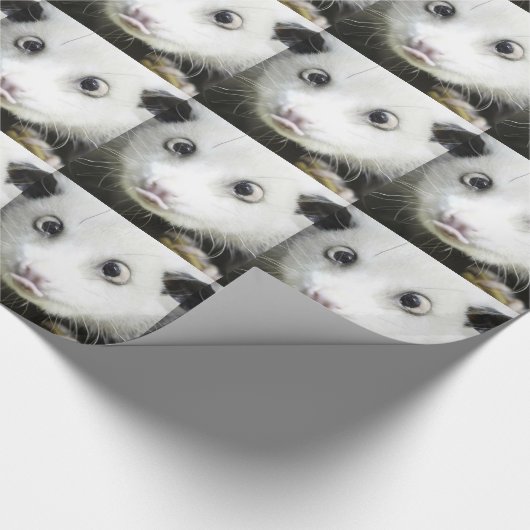 Heidi Das Mit Augen Opossum Geschenkpapier (Ecke)