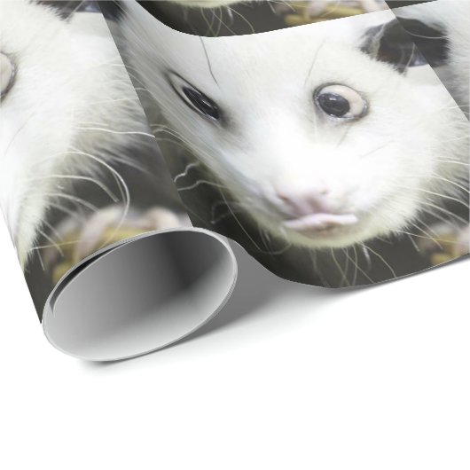 Heidi Das Mit Augen Opossum Geschenkpapier (Rolleneckpunkt)