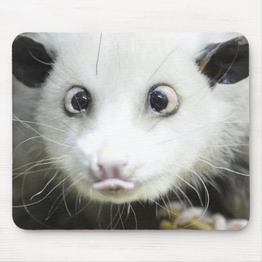 Heidi Das Mit Augen Opossum Mousepad (Vorne)