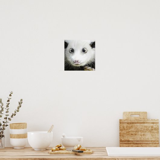 Heidi Das Mit Augen Opossum Poster (Küche)