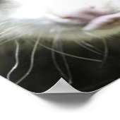 Heidi Das Mit Augen Opossum Poster (Ecke)