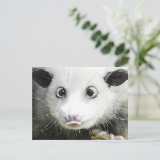 Heidi Das Mit Augen Opossum Postkarte (Stehend Vorderseite)