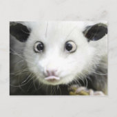 Heidi Das Mit Augen Opossum Postkarte (Vorderseite)