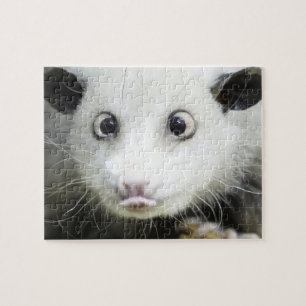 Heidi Das Mit Augen Opossum Puzzle