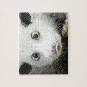 Heidi Das Mit Augen Opossum Puzzle (Vertikal)