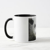 Heidi Das Mit Augen Opossum Tasse (Links)