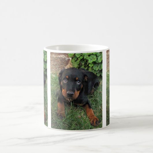 Heidi Guilty Puppy-Tasse Kaffeetasse (Mittel)