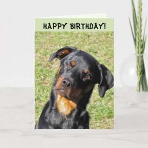 Heidi Happy Birthday Card Karte