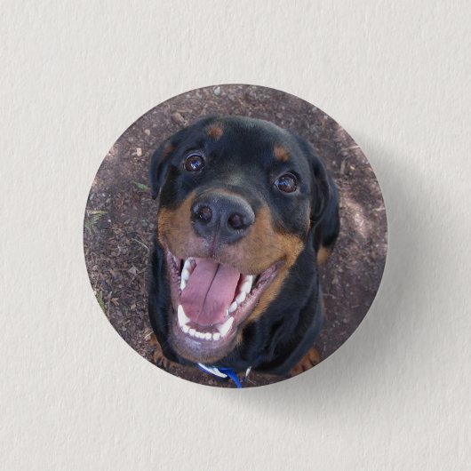 Heidi Happy Rottweiler Button (Vorderseite)