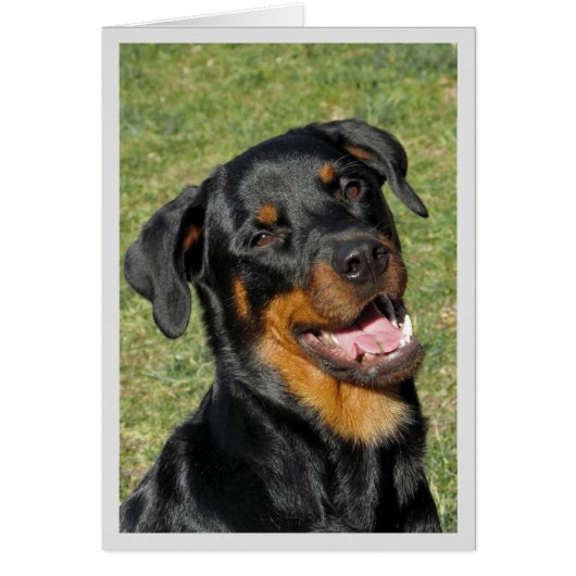 Heidi Niedlich Rottweiler Blank Greeting Card (Vorne)