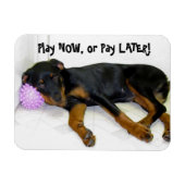 Heidi Play Now oder Pay Spater Magnet (Horizontal)