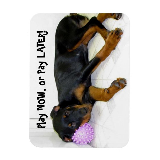 Heidi Play Now oder Pay Spater Magnet (Vertikal)