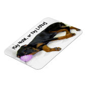 Heidi Play Now oder Pay Spater Magnet (Linke Seite)