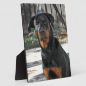 Heidi Rottweiler Backyard Foto Plaque Fotoplatte (Seite)