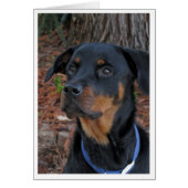 Heidi Rottweiler Blank Greeting Card (Vorne)