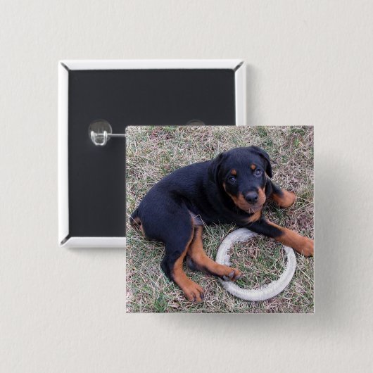 Heidi Rottweiler "Innocent"-Button Button (Vorne & Hinten)