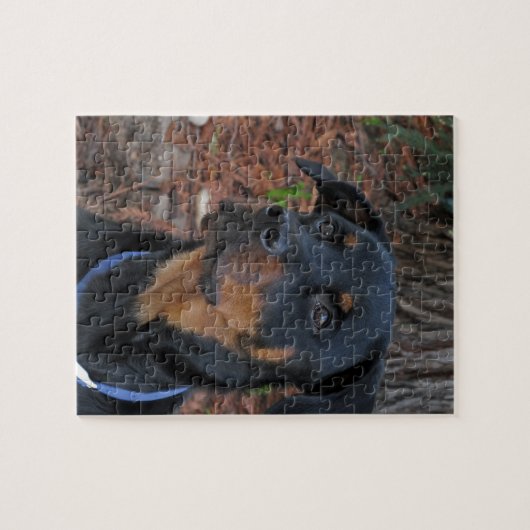 Heidi Rottweiler-Puzzle Puzzle (Horizontal)