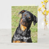 Heidi Sie sind kalte Grußkarte Karte (Gelbe Blume)