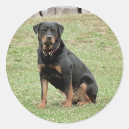 Heidi Sticker (Vorderseite)