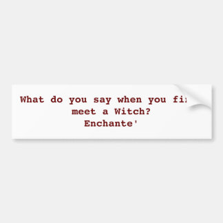 Heidnischer Spaß-Autoaufkleber Autoaufkleber