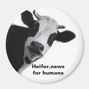 Heifer.news für den Menschen Magnet