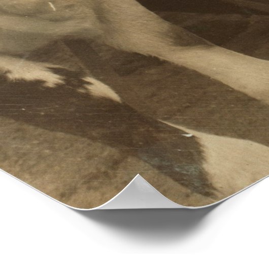 Heifers Poster (Ecke)