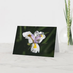 heikle Blume Dankeskarte