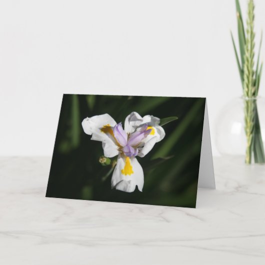 heikle Blume Dankeskarte (Vorderseite)