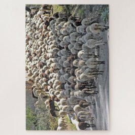 Heikles Puzzle des unteren Tieres der Schafe