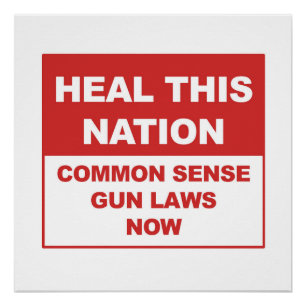 Heilen Sie diese Nation - 'Common Sense Gun Laws N Poster