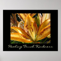 Heilende Touch Kindness Kunstdrucke Orange Lily