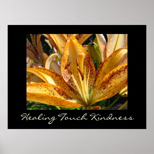 Heilende Touch Kindness Kunstdrucke Orange Lily Poster (Vorne)
