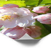 Heilende Touch pflegt Plakate die rosa (Ecke)