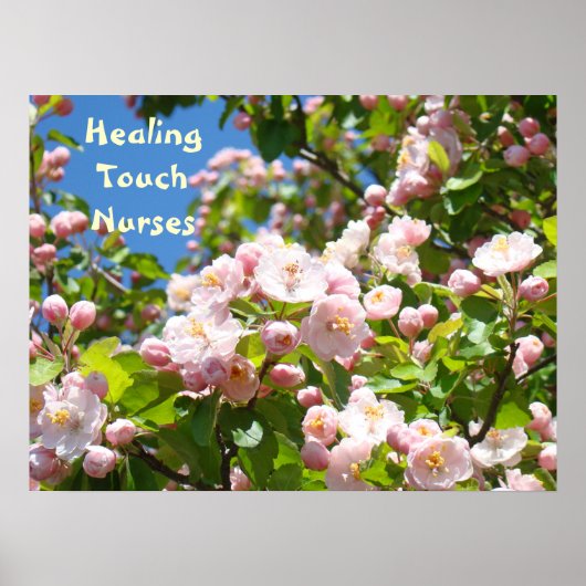 Heilende Touch pflegt Plakate die rosa (Vorne)