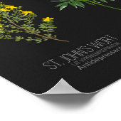 Heilender Power der Herbologie der europäischen wi Poster (Ecke)