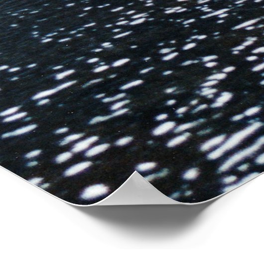 Heilerboot Poster (Ecke)