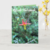 Heilgebet, Refuah Sheleimah Karte (Gelbe Blume)