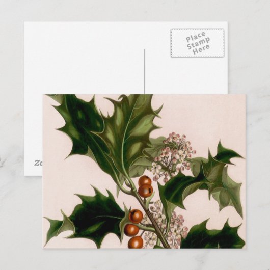 Heiligbeeren Postkarte (Vorne/Hinten)