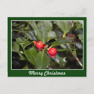 Heilige Blätter und rote Beeren, Frohe Weihnachten