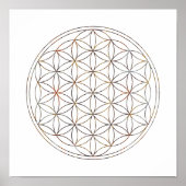 Heilige Geometrie-Blume des Lebens (V-Elemente) Poster (Vorne)